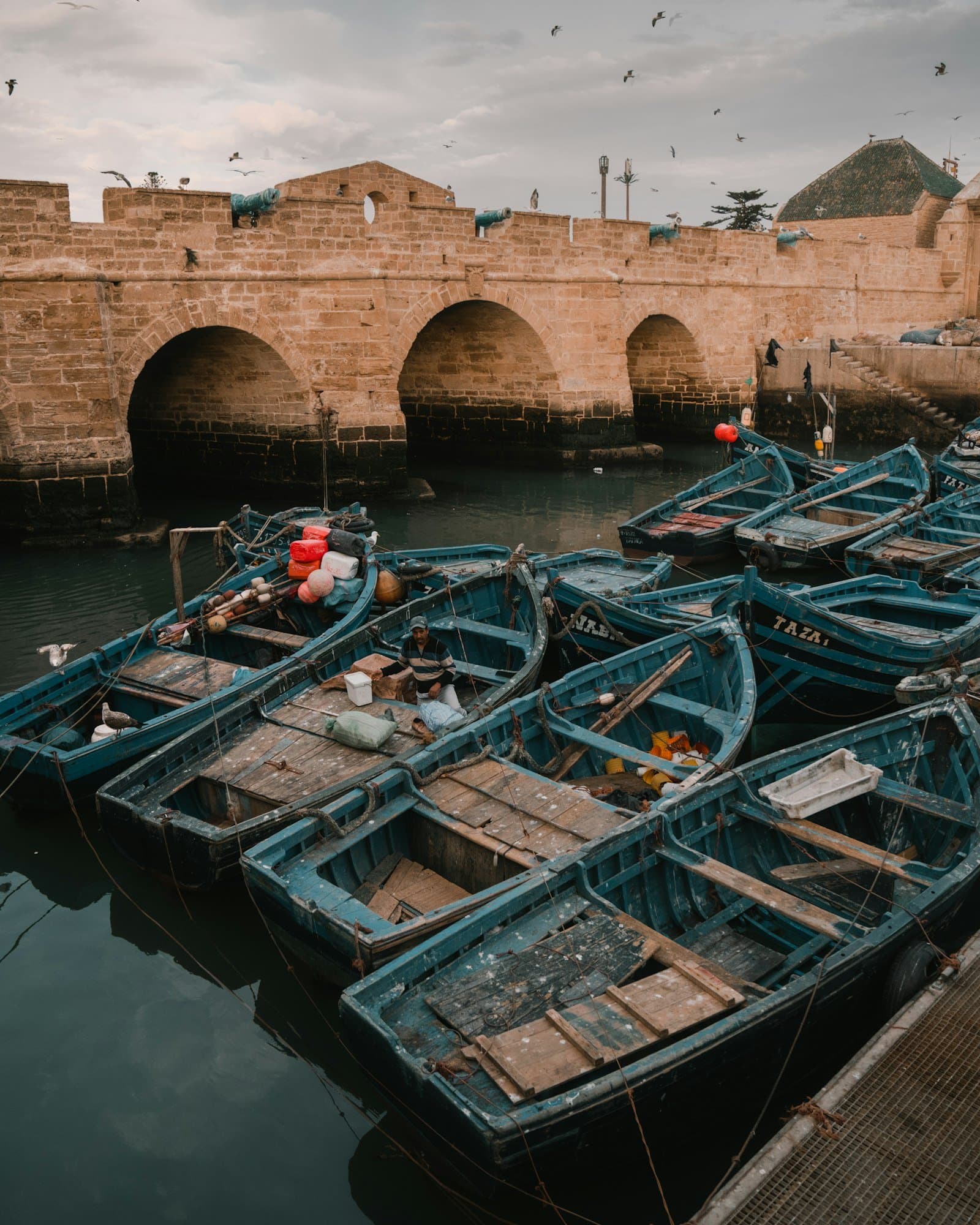 Barques de pêche bleues devant les remparts du port d'Essaouira