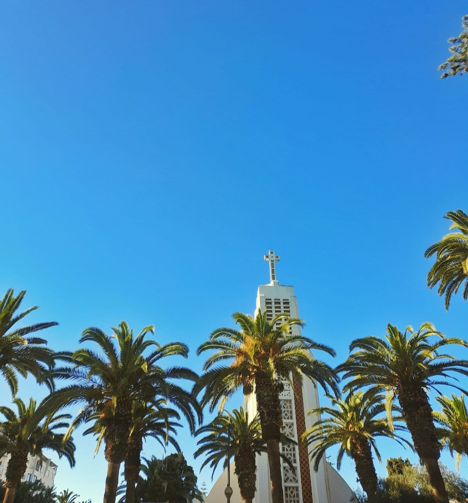 Le clocher blanc de l'église de Mohammédia entre des palmiers, sous un ciel bleu