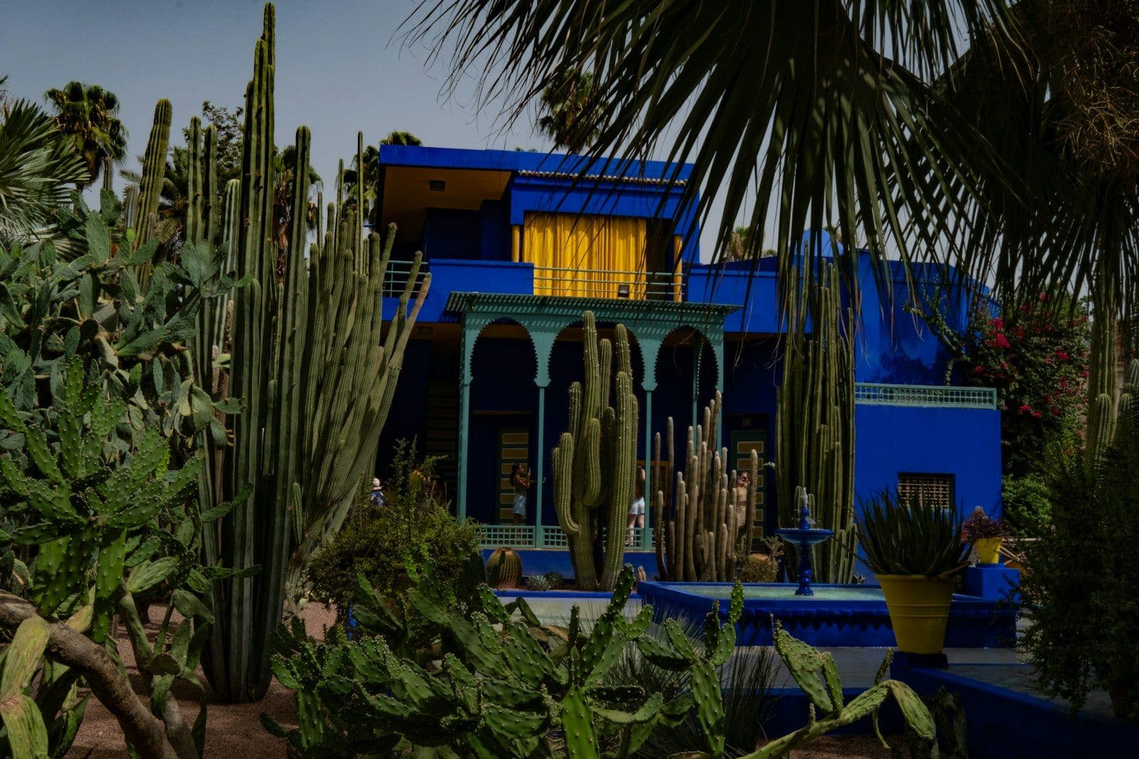 La villa bleu Majorelle aux rideaux jaunes, entourée de cactus et de palmiers, avec un bassin bleu au premier plan, au Jardin Majorelle à Marrakech