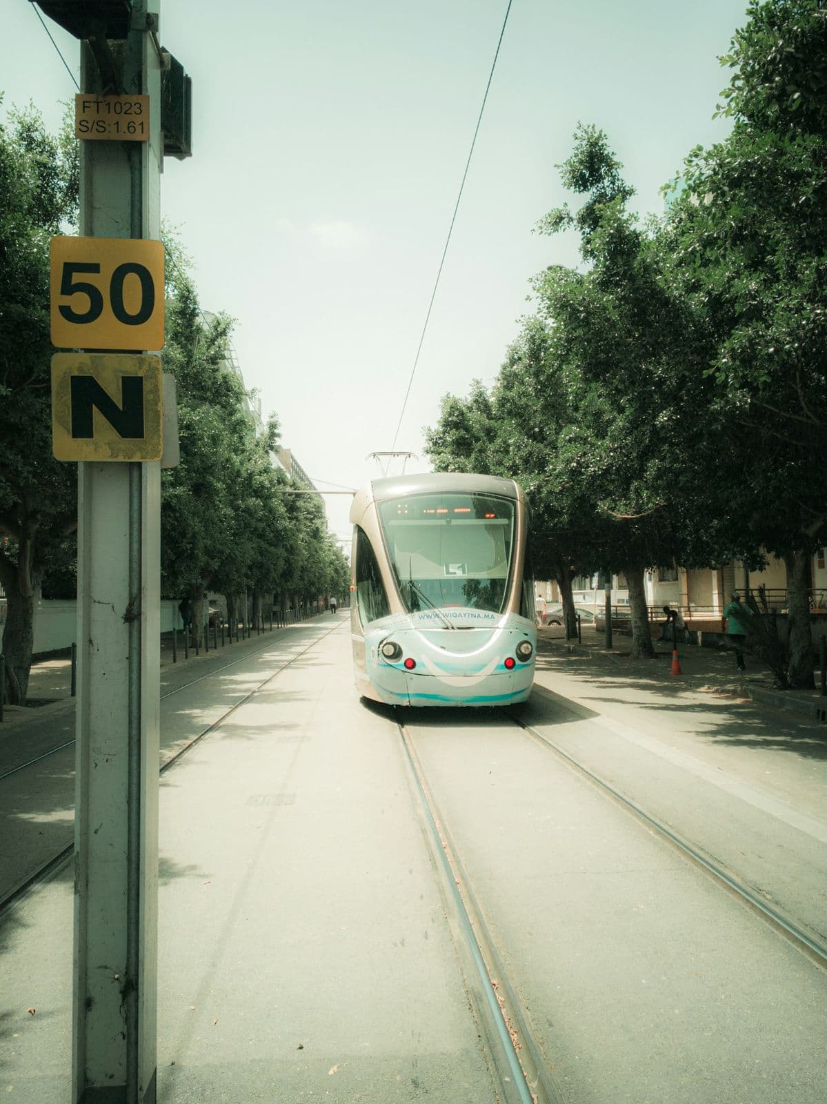 Un tramway bleu et blanc avance entre deux rangées d'arbres, sous un ciel clair